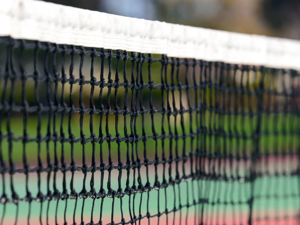 This is photo of a pickleball court net